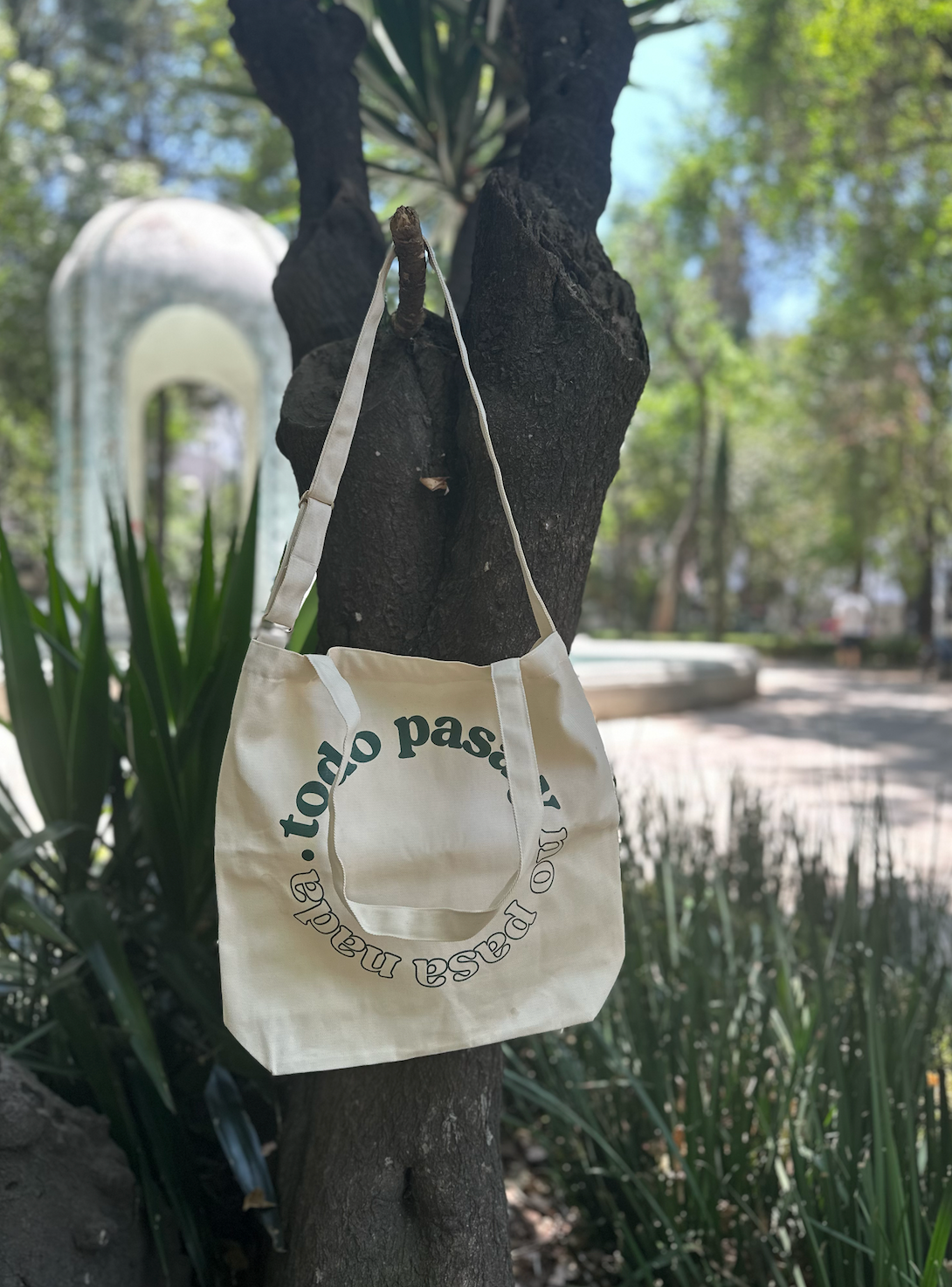 Tote bag "Todo pasa y no pasa nada"