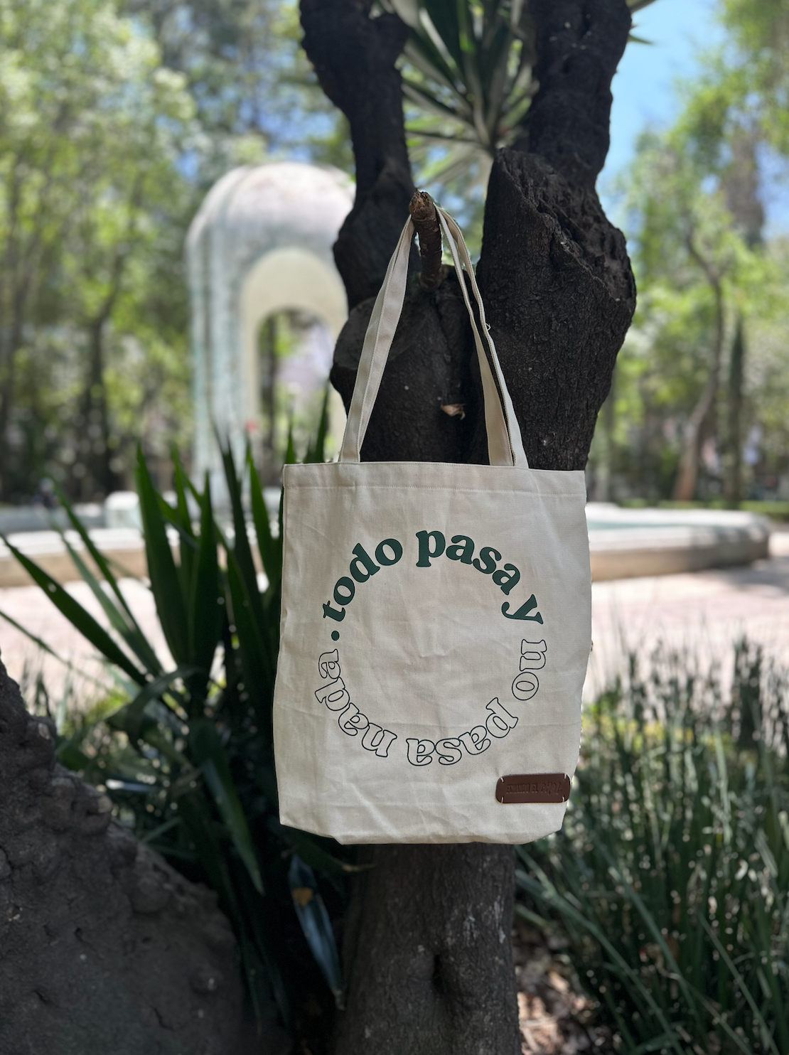 Tote bag "Todo pasa y no pasa nada"