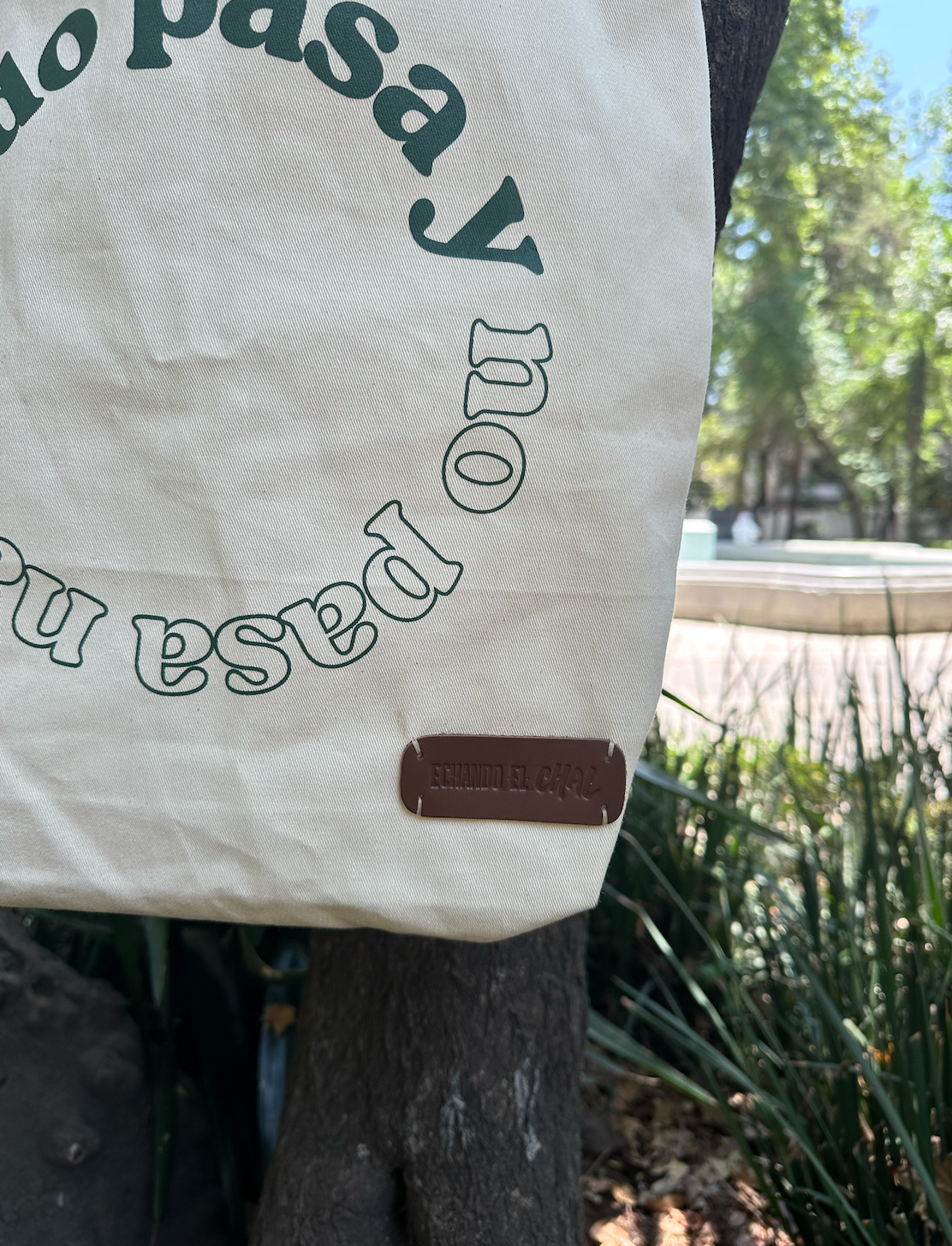 Tote bag "Todo pasa y no pasa nada"